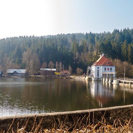 Ferienhaus Nr 18B1, Feriendorf Hagbuegerl, Bayr Wald Waldmuenchen Luaran gambar